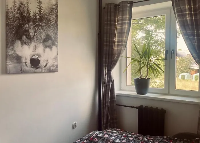 Wilcze Zacisze דירה